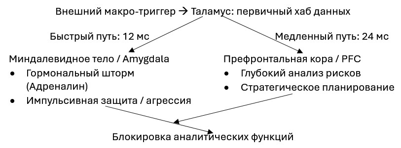 Механика лимбического перехвата
