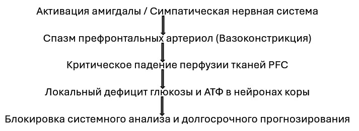 Метаболическое истощение префронтальной коры