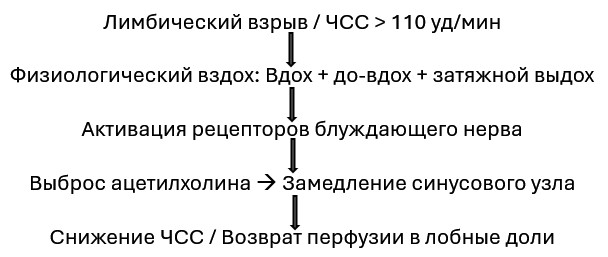Протокол 1. Экстренное торможение